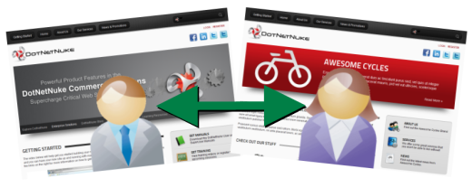 Personalized DotNetNuke Skins