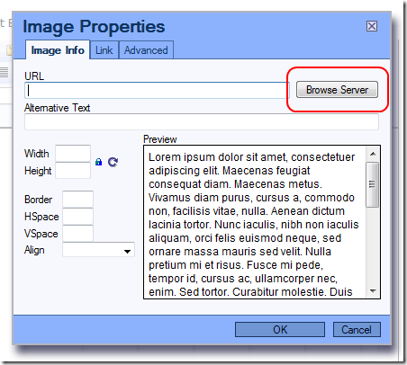 DotNetNuke Text Editor: Image Properties