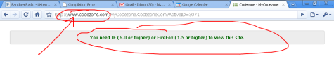 Evidence that CodeZone.com hates Google Chrome (click to see larger image)